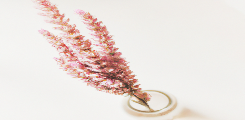 Des méthodes simples mais efficaces pour perdre du poids rapidement