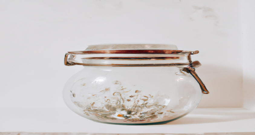 Retrouvez une silhouette svelte et énergique grâce à nos conseils sur la perte de poids