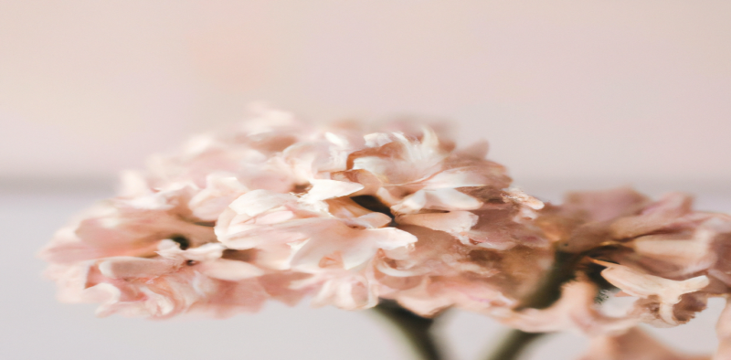 Martin Juneau dévoile son astuce perte de poids qui impressionne les experts