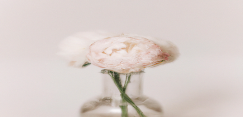 Comment atteindre son poids idéal en seulement 1 mois ?