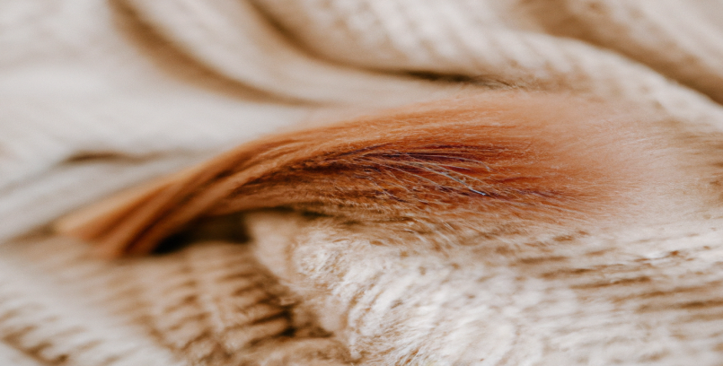 Les régimes les plus efficaces pour une perte de poids durable