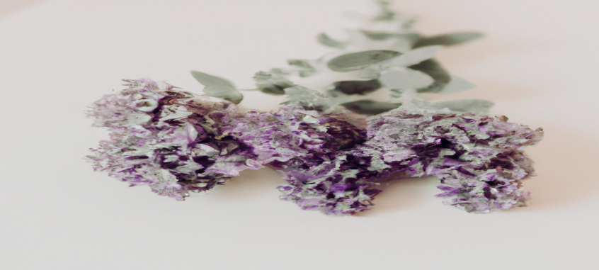 Comment atteindre son poids idéal en seulement 1 mois ?