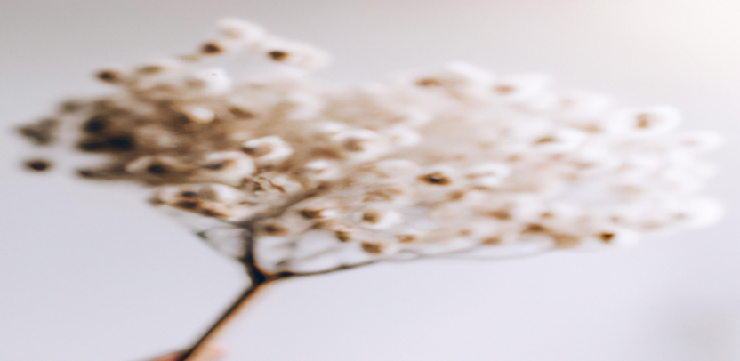 Le secret pour une perte de poids durable et saine révélé - Avant