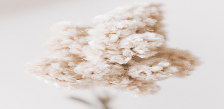 Comment atteindre ses objectifs de perte de poids avec un programme personnalisé - Avant