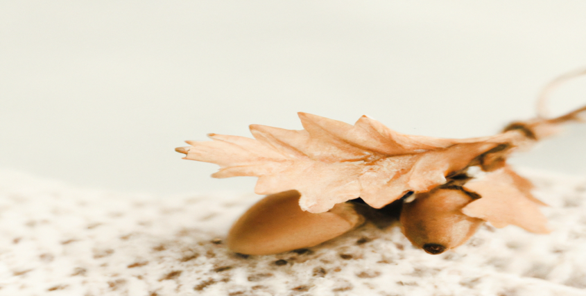 5 méthodes simples pour perdre du poids grâce au jogging