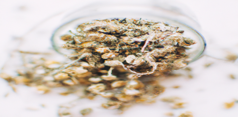 Barbara Opsomer dévoile son astuce perte de poids qui impressionne les experts