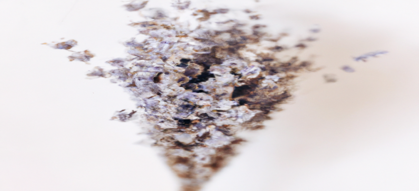 Les techniques de SEO pour une perte de poids durable, plus qu'une simple recommandation