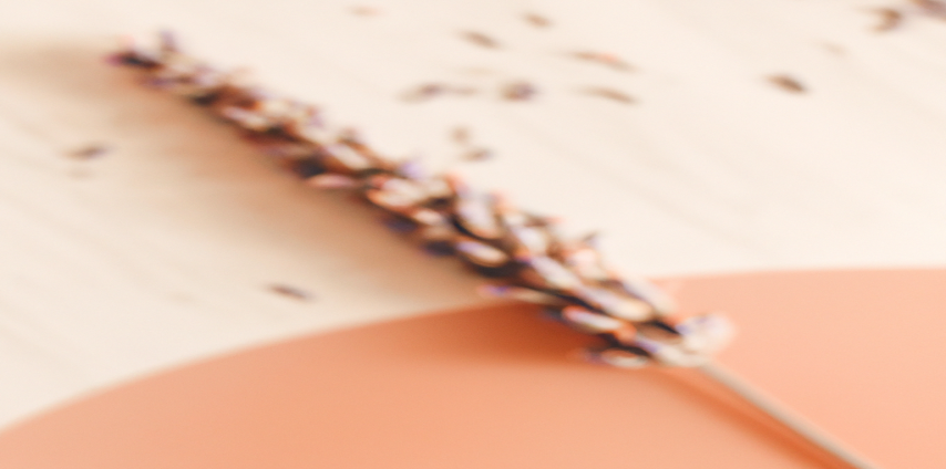 Adriana Karembeu dévoile son astuce perte de poids qui impressionne les experts - Avant