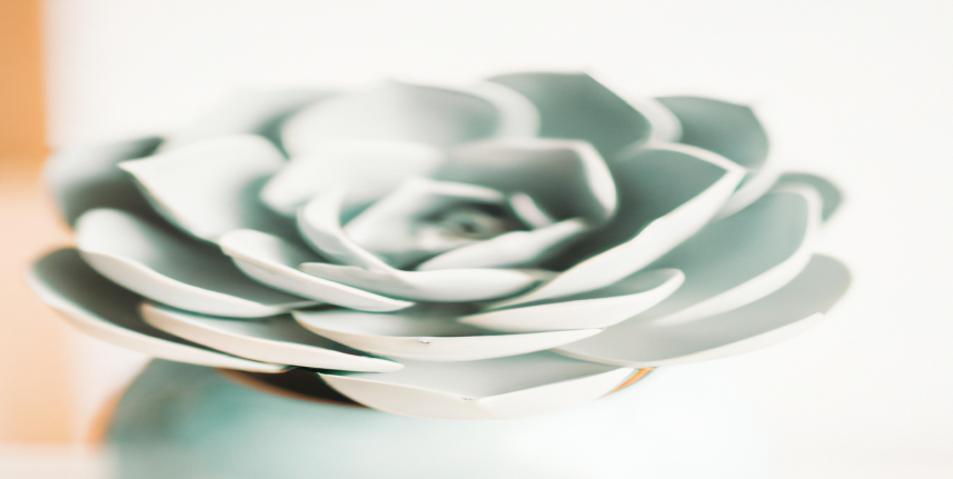 Comment faire pour perdre du poids sans se priver ? - Avant