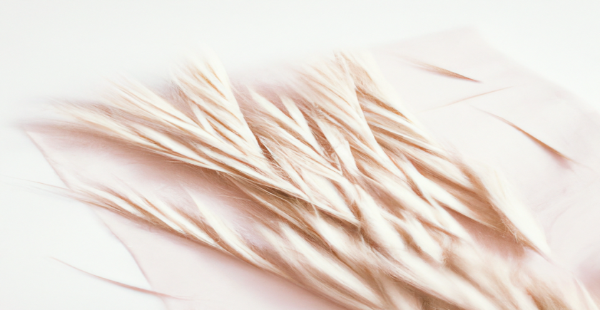 Découvrez comment perdre du poids efficacement avec notre guide ultime ! - Avant