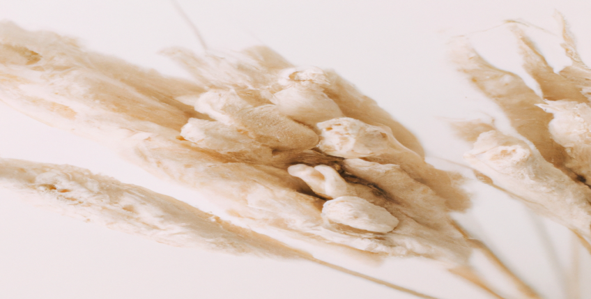 7 exercices à faire chez soi pour une perte de poids rapide et sans effort