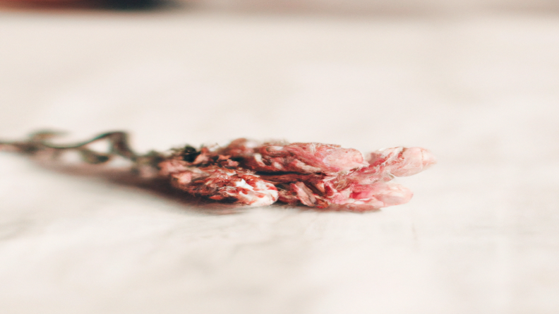 Perdre du poids sans se priver : les méthodes infaillibles à adopter dès maintenant