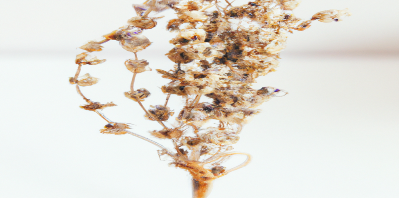 Retrouvez une silhouette de rêve grâce à ces 5 astuces pour perdre du poids