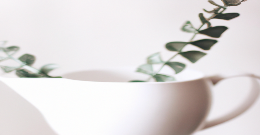 Les secrets pour une perte de poids efficace et durable enfin révélés !