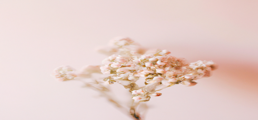 Les 10 aliments à éviter pour une perte de poids réussie