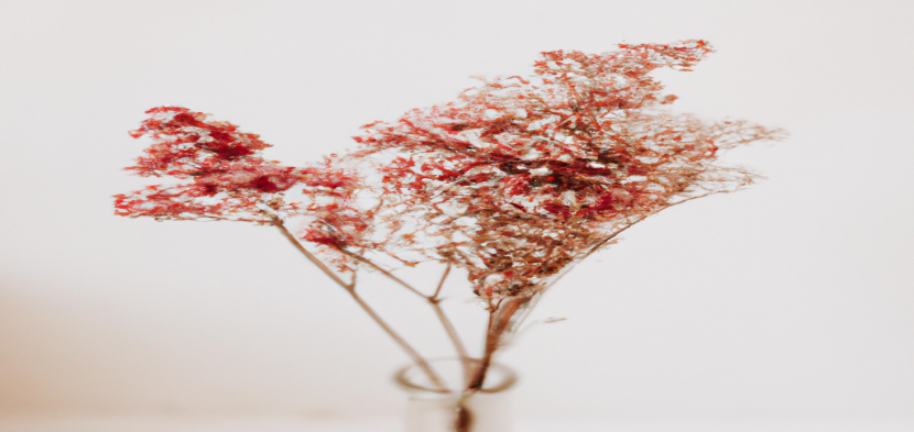 Les bienfaits insoupçonnés de la marche pour perdre du poids