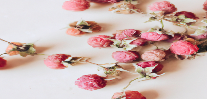 Guide complet pour atteindre vos objectifs minceur en 3 étapes seulement