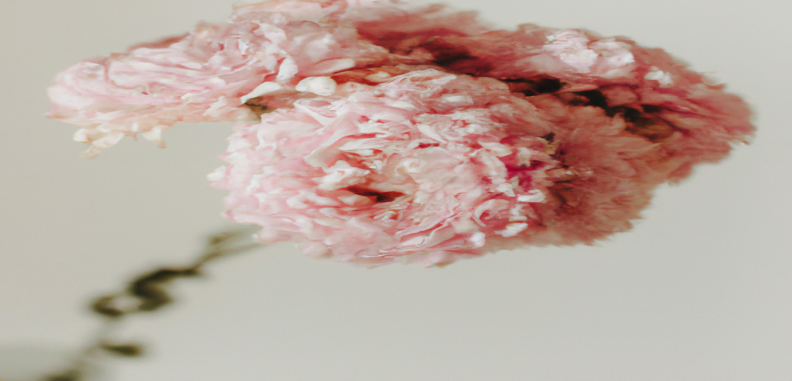 Perdre du poids grâce à l'optimisation SEO : découvrez nos secrets