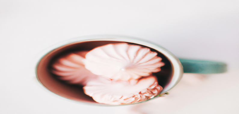 Les meilleures astuces SEO pour perdre du poids et gagner en visibilité