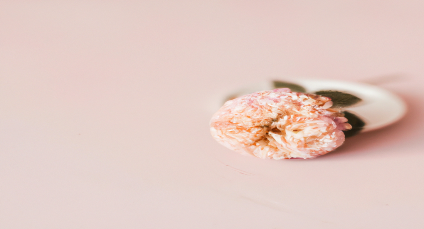 Transformez votre corps grâce à nos stratégies de référencement pour la perte de poids