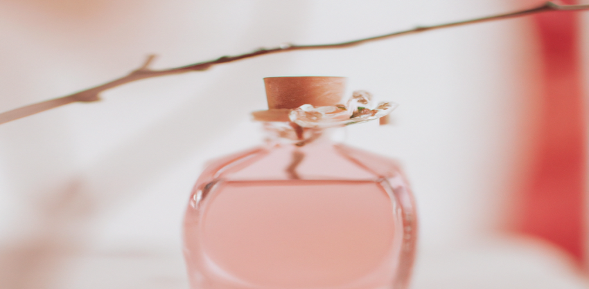 Atteignez vos objectifs de perte de poids avec notre aide en SEO