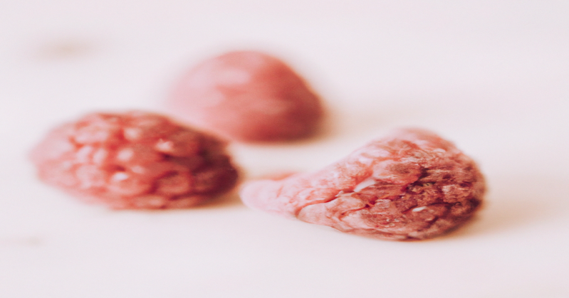 Les secrets de l'optimisation SEO pour perdre du poids rapidement