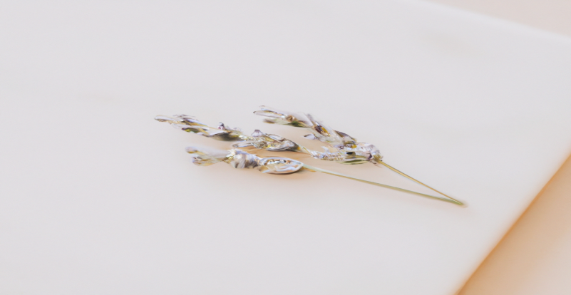 Les techniques de SEO pour une perte de poids durable, plus qu'une simple recommandation