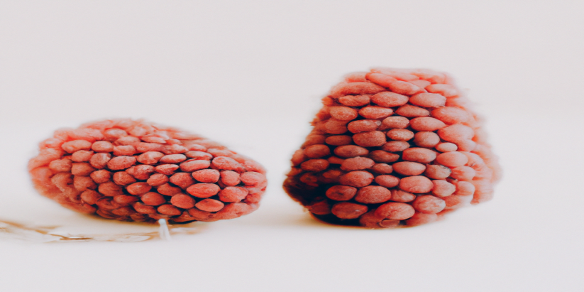 Les techniques de SEO pour une perte de poids durable, plus qu'une simple recommandation