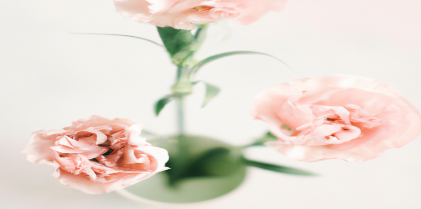 Les bienfaits du thé vert pour aider à la perte de poids