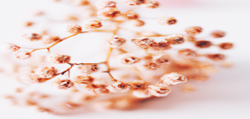 Comment optimiser son alimentation pour une perte de poids efficace