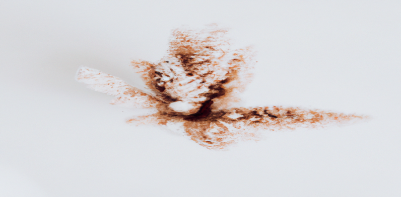 Découvrez comment maigrir facilement et sans effort !