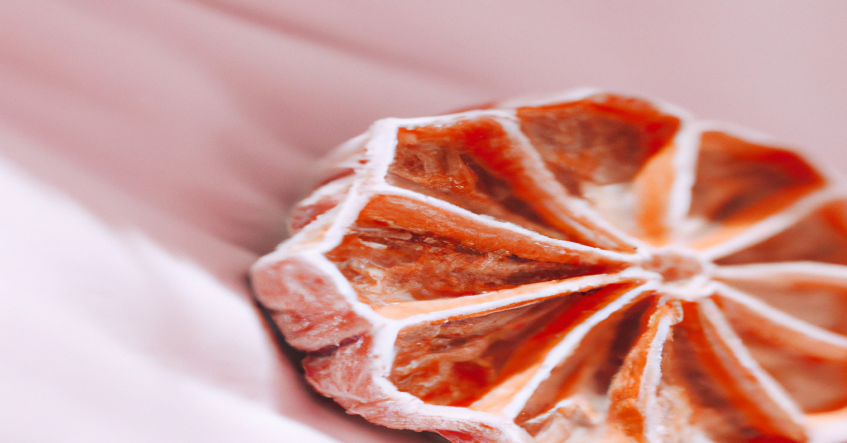 Ces erreurs SEO peuvent vous faire prendre du poids : apprenez à les éviter !