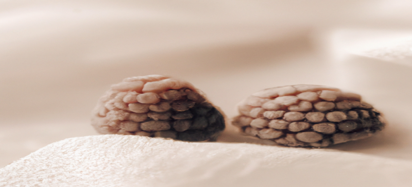 Découvrez comment perdre du poids avec notre méthode efficace