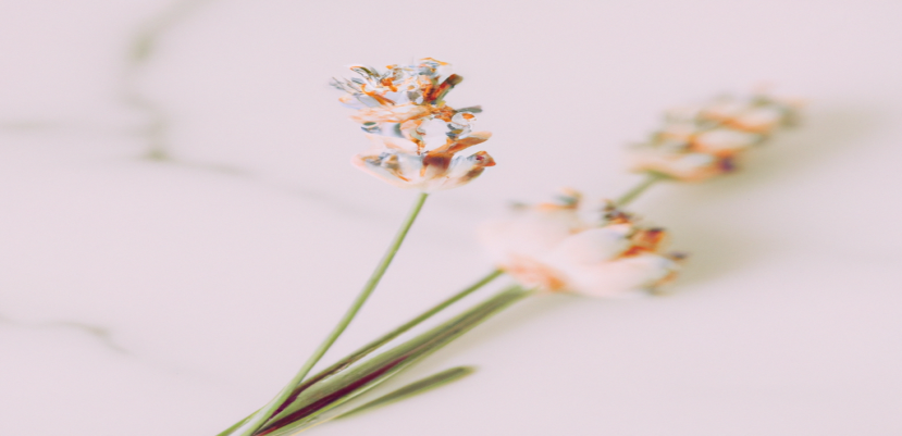 Découvrez comment perdre du poids avec notre méthode efficace