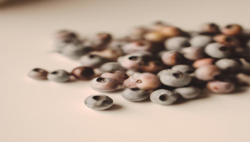 Découvrez comment perdre du poids avec notre méthode efficace